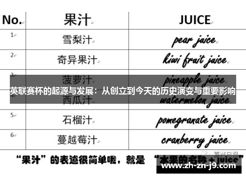 英联赛杯的起源与发展:从创立到今天的历史演变与重要影响 英联赛杯的起源与发展:从创立到今天的历史演变与重要影响